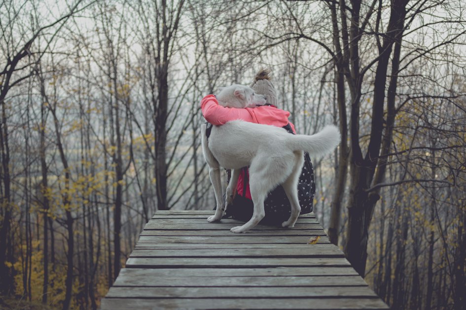 A person warmly embracing their dog outdoors, representing the joy and bond of responsible, proactive pet ownership focused on long-term health.