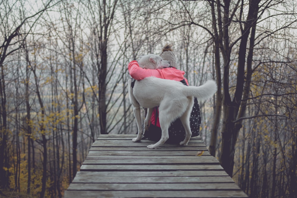 Person umarmt Hund auf Brücke