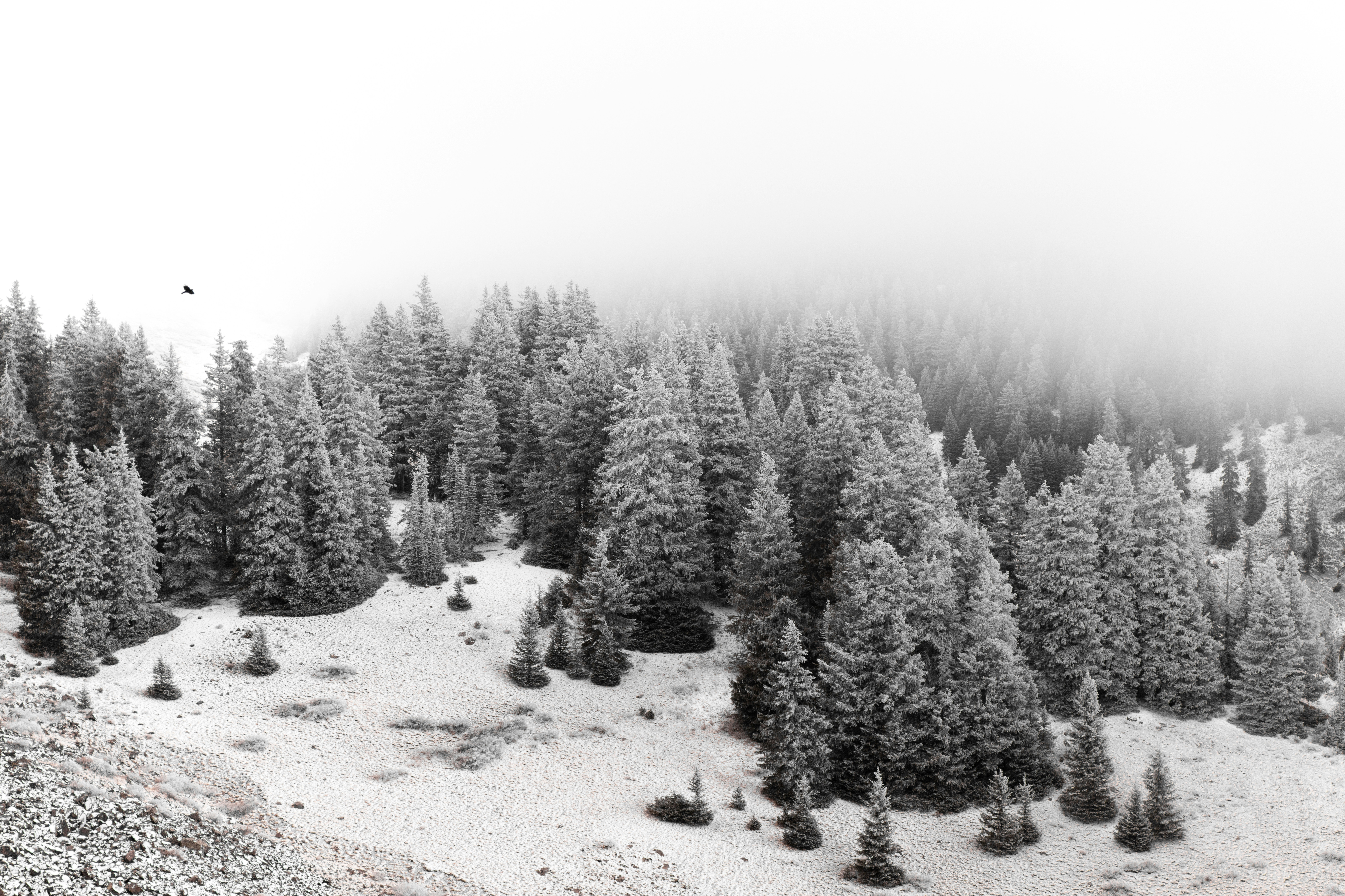 Photo by worldsbetweenlines