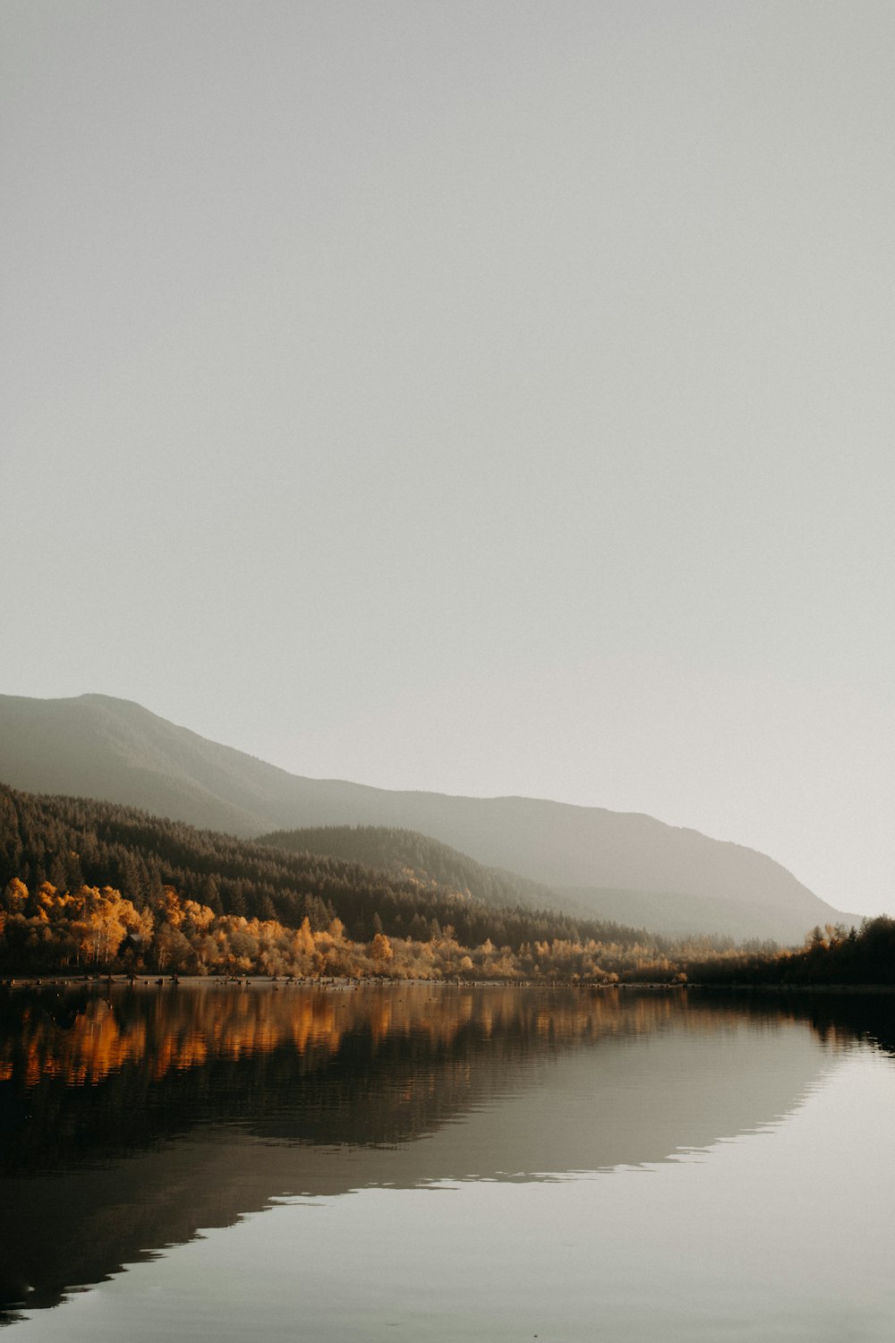 photo of calm body of water near trees