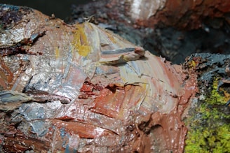 Thick, textured brushstrokes of oil paint in earthy tones and hints of yellow and blue create an abstract composition. The paint appears layered and mixed directly on the surface, resulting in a rich, tactile appearance.