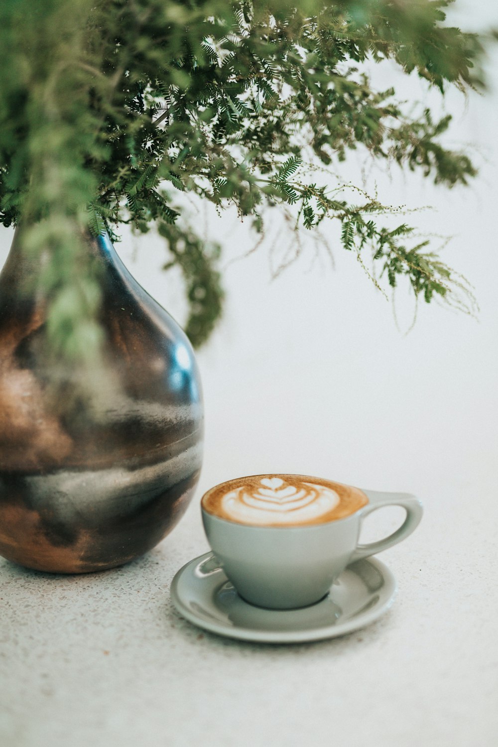 xícara de café com leite perto de plantas no vaso