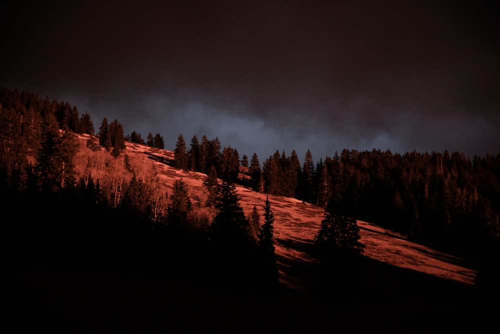 Montaña marrón con árboles durante la noche