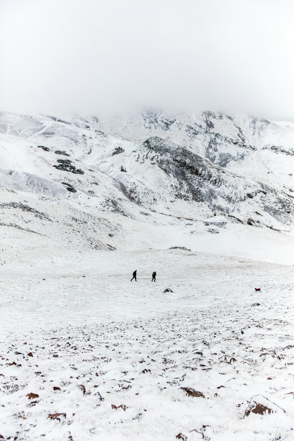 two people walking on snow