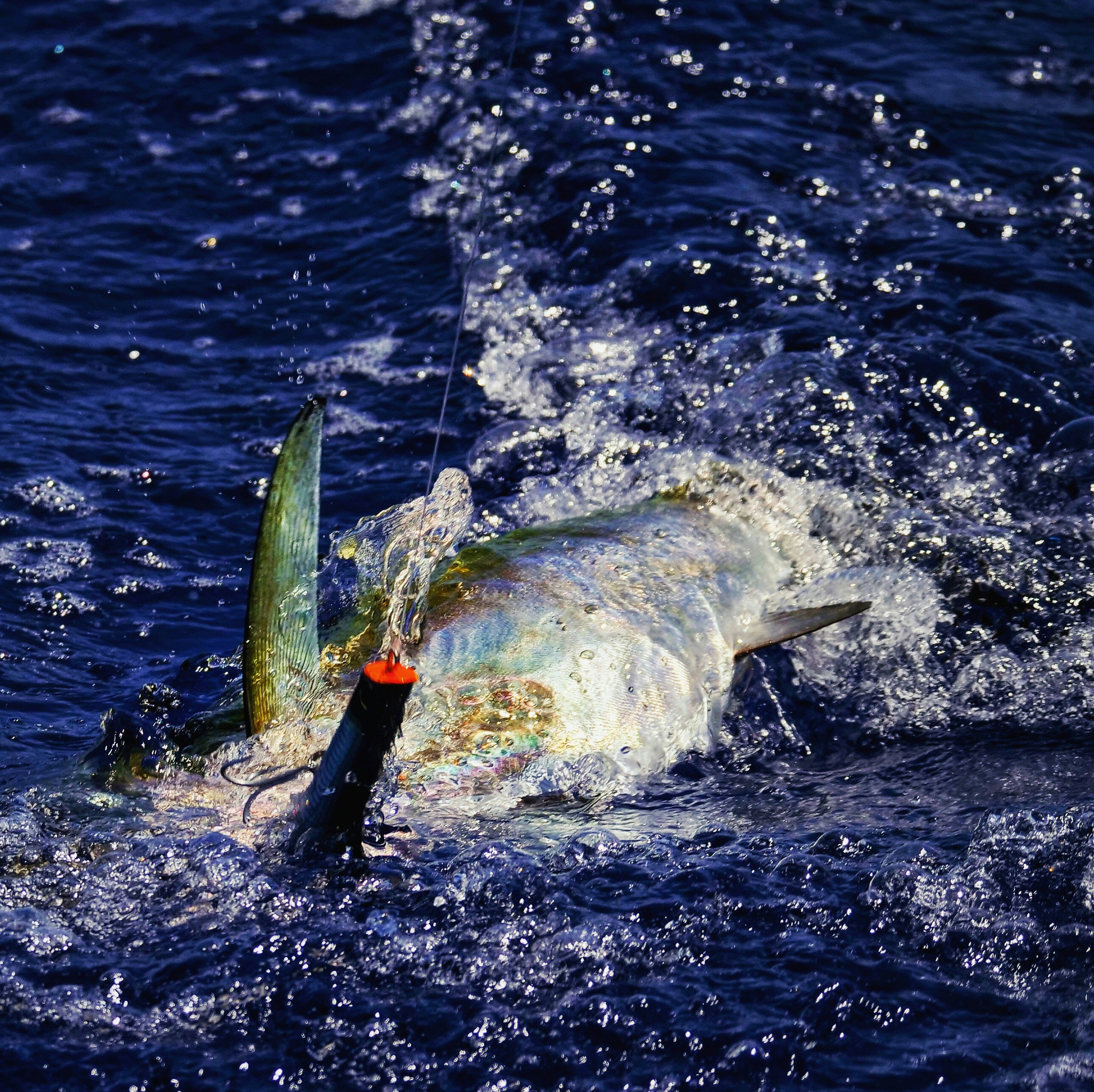 Aquadart Ballistic Sinker