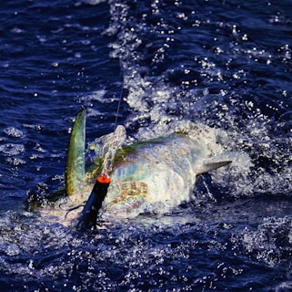 A large fish is caught on a fishing line, thrashing around in deep blue water, creating splashes and bubbles. The fish has a shiny, iridescent body with prominent fins and is attached to a lure with an orange tip.