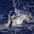 A large fish is caught on a fishing line, thrashing around in deep blue water, creating splashes and bubbles. The fish has a shiny, iridescent body with prominent fins and is attached to a lure with an orange tip.