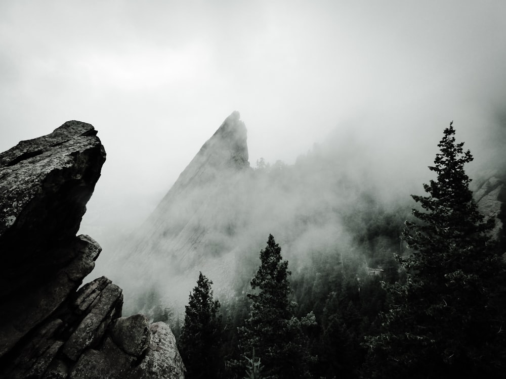 Foto von Nebelgebirge