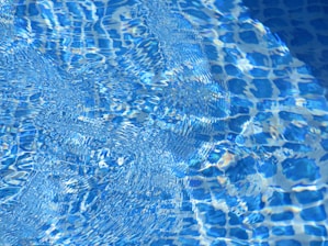 photo of body of water