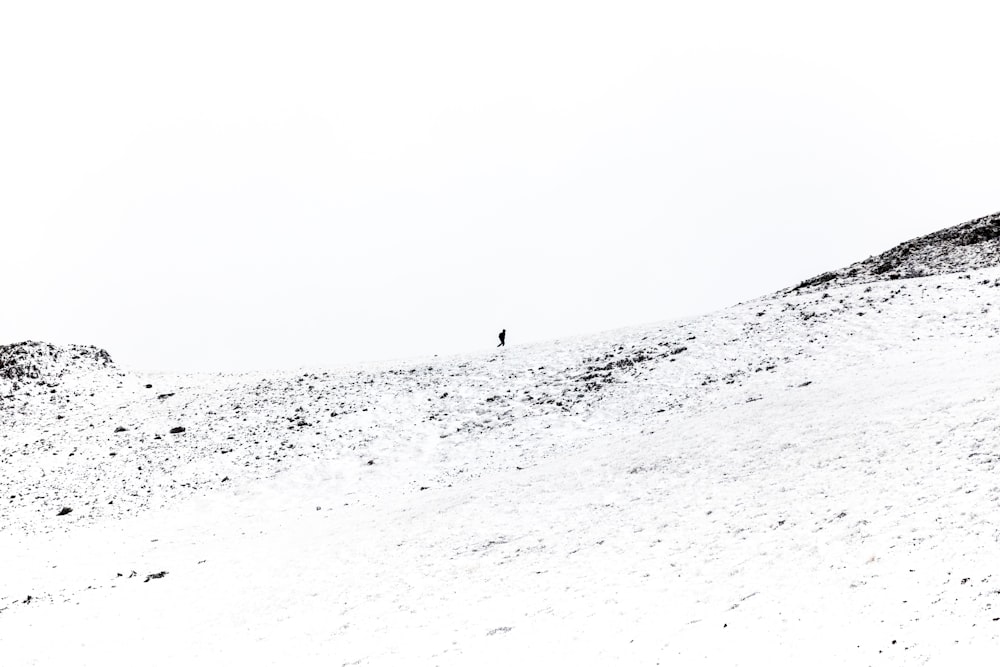 雪に覆われた山