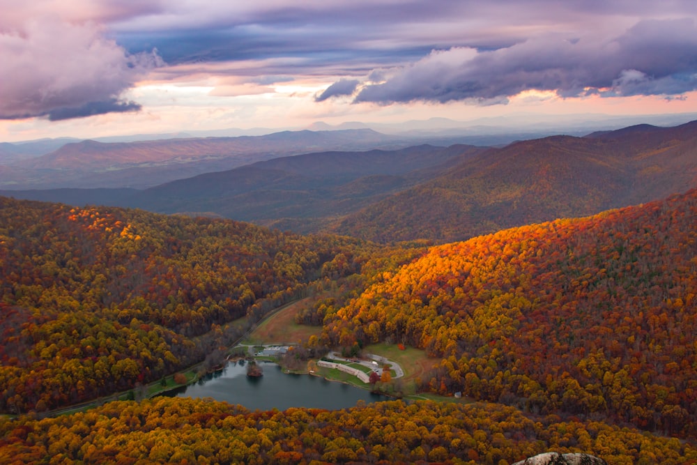 aerial photo of forest near body of water during daytime