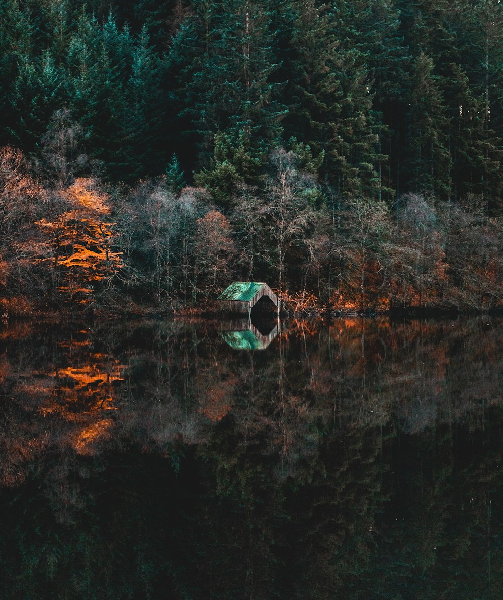 green and brown shed beside body of water photo