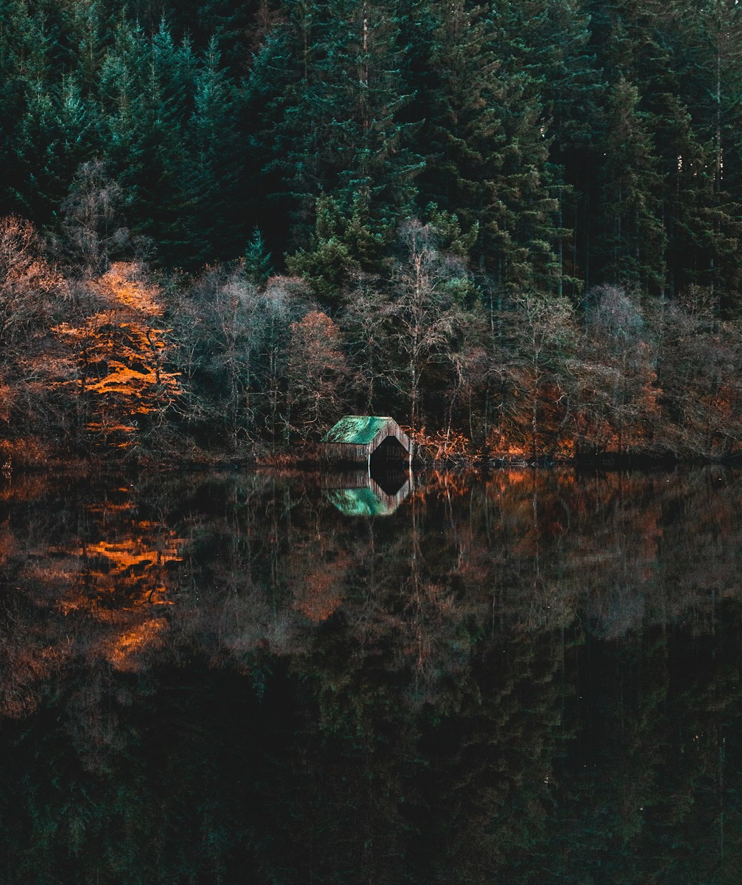 Forest photo spot Loch Lomond & The Trossachs National Park Pitlochry