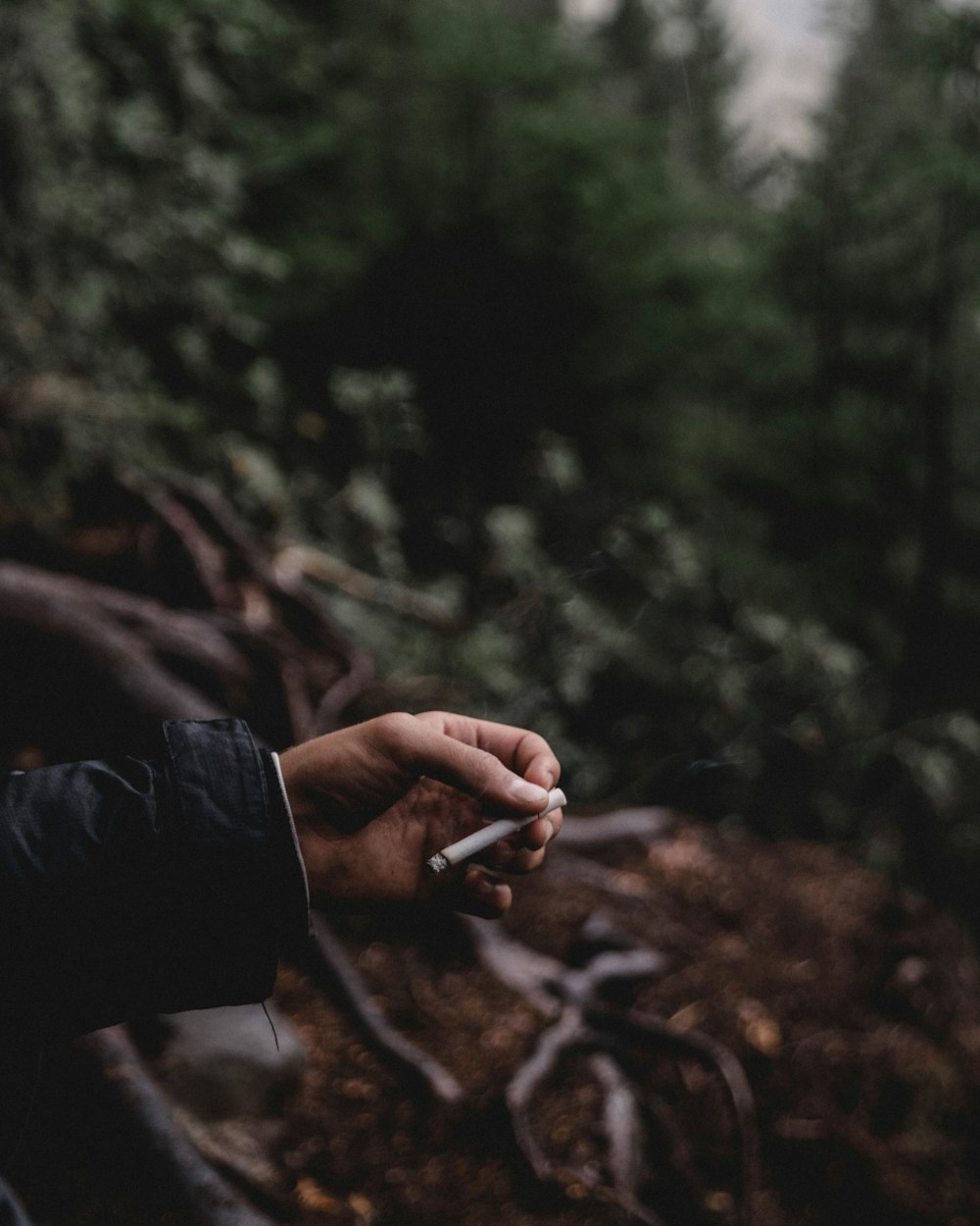 person holding cigarette