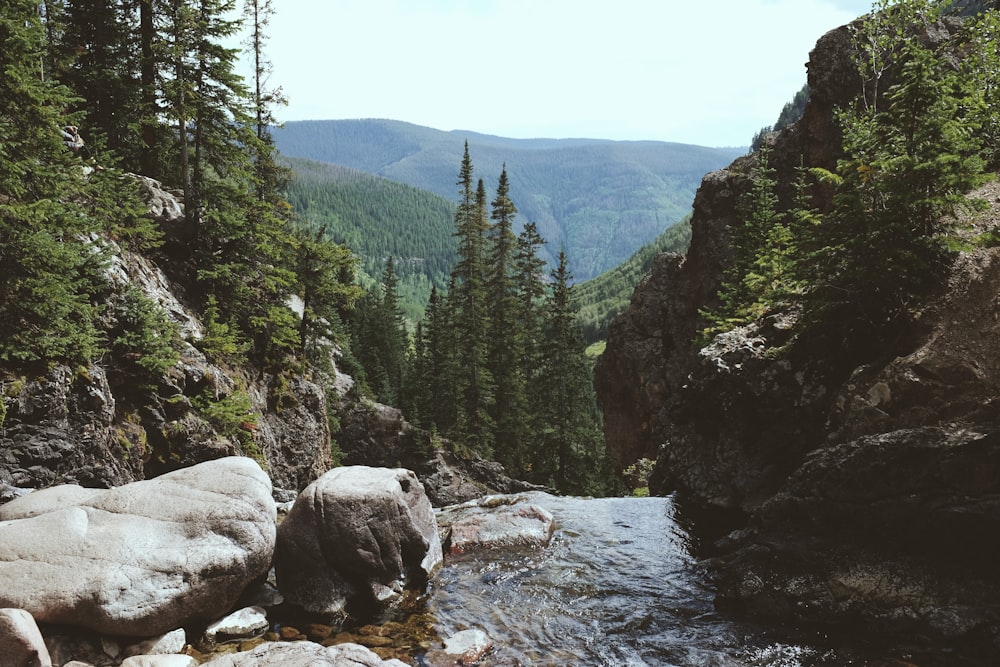 rio entre rochas e pinheiros durante o dia