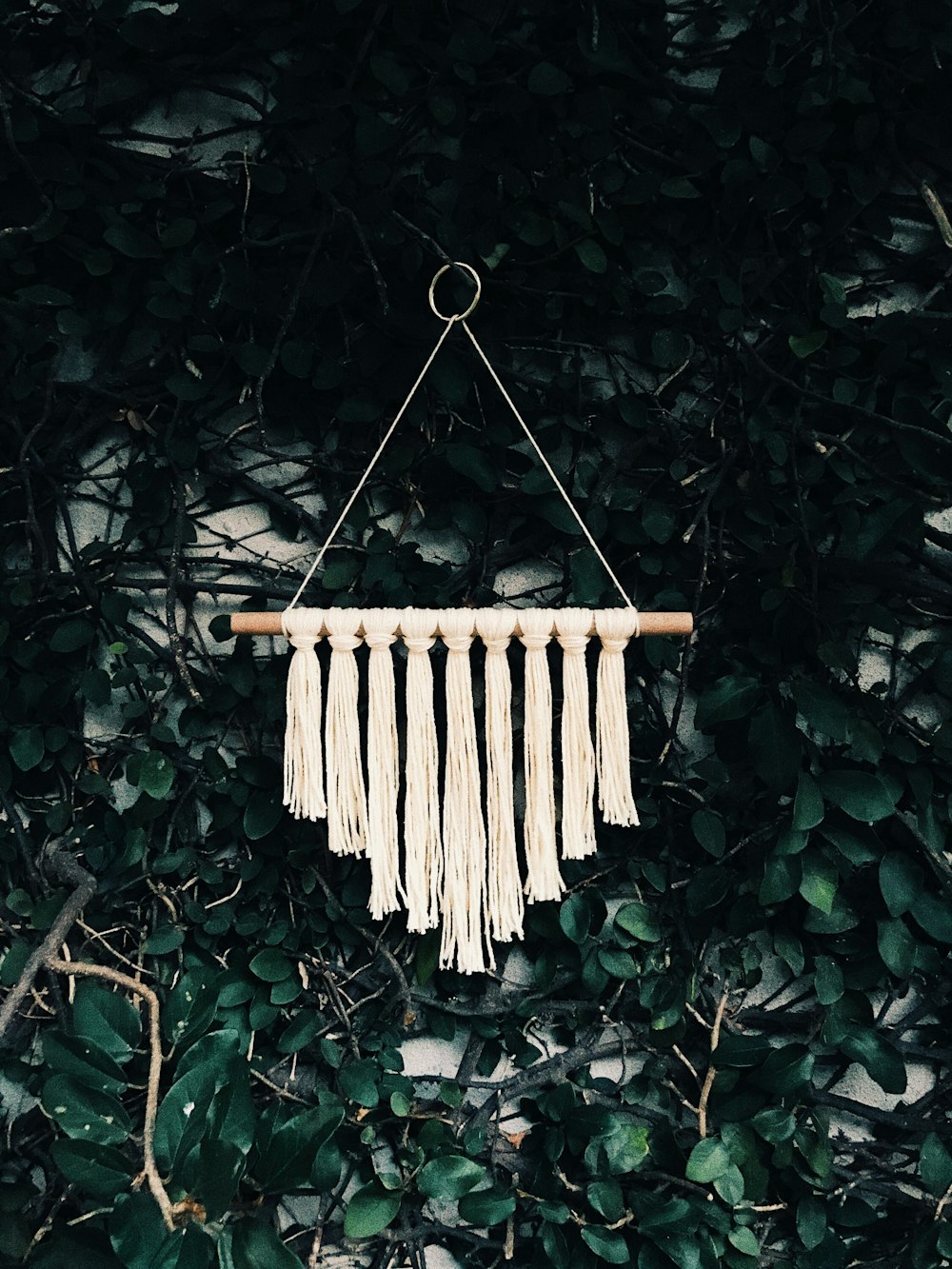 brown wooden clothes pin on green leaves