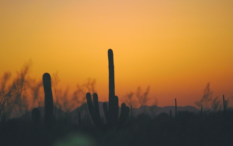 Phoenix skyline with desert mountains