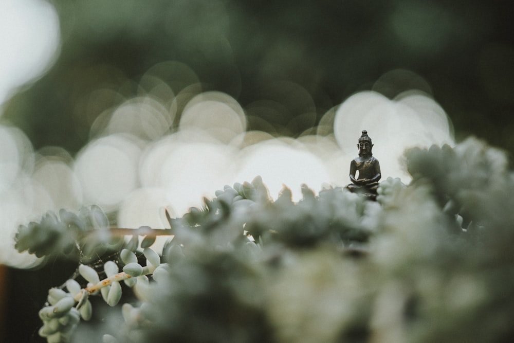 fotografía de enfoque selectivo de la estatua de Buda