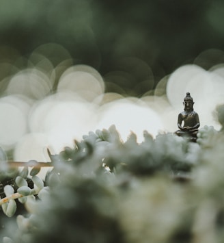 selective focus photography of Buddha statue