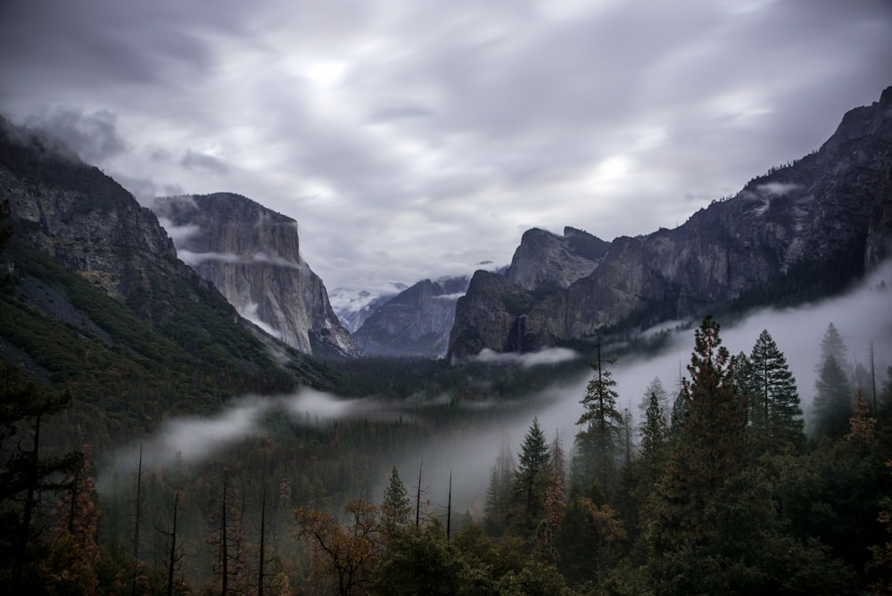 arbres près de la montagne sous le ciel gris pendant la journée