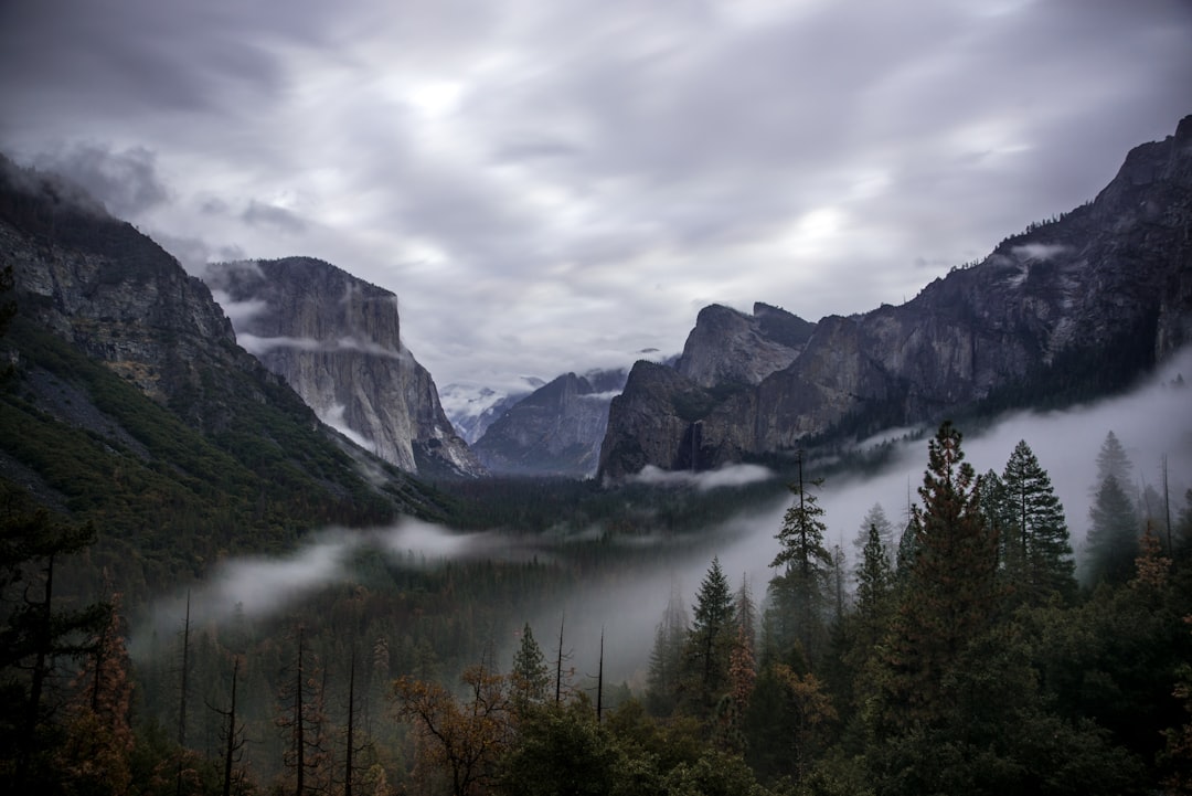 trees near mountain under gray sky during daytime