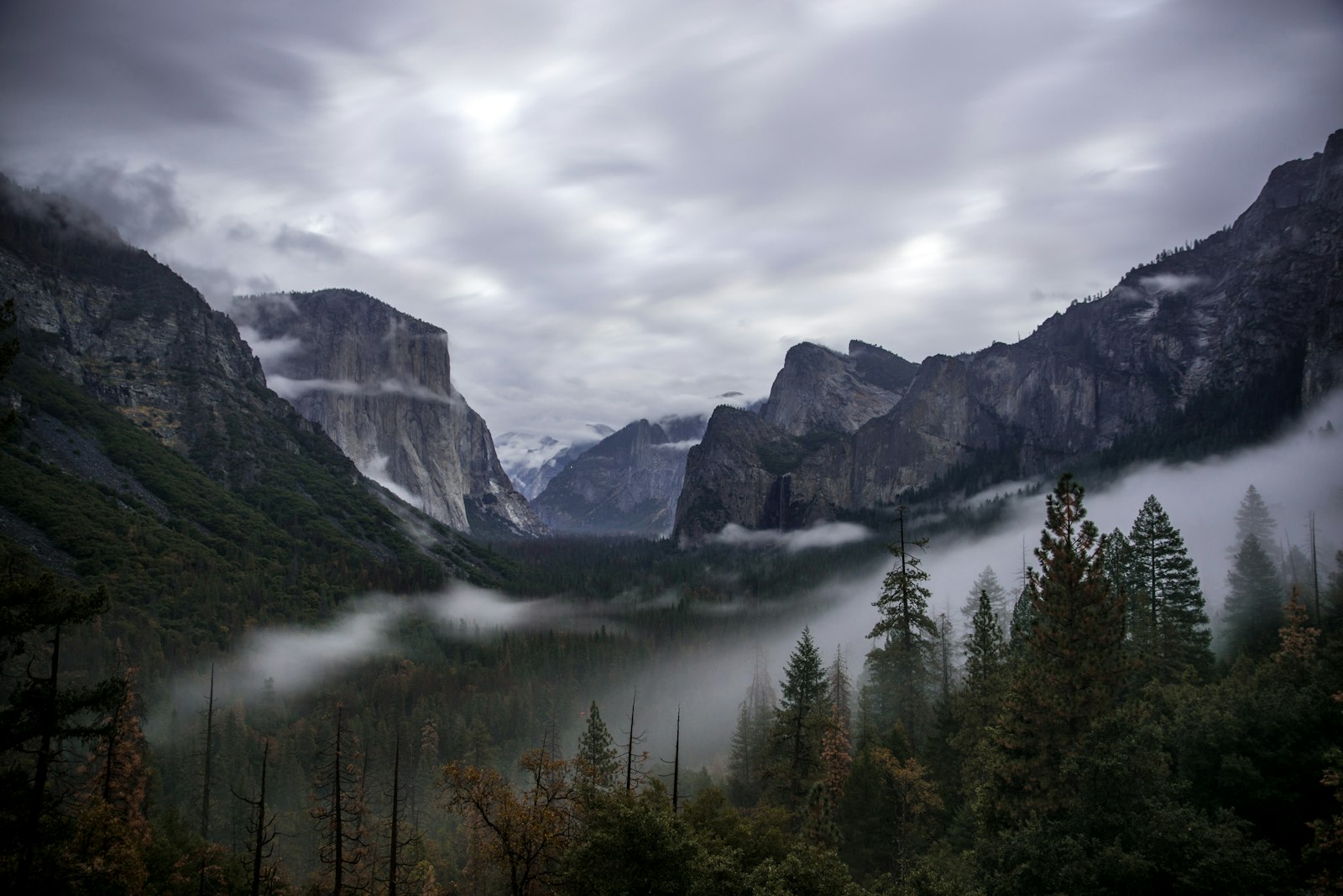 Nikon D750 + Tamron SP 24-70mm F2.8 Di VC USD sample photo. Trees near mountain under photography