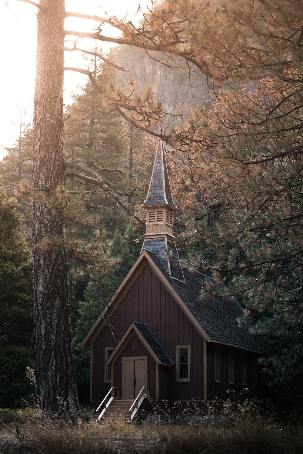 maison en bois brun à côté de l’arbre