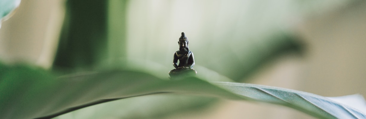 selective focus photography of black Buddha figurine on green leaf