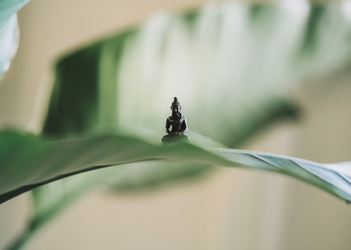 selective focus photography of black Buddha figurine on green leaf