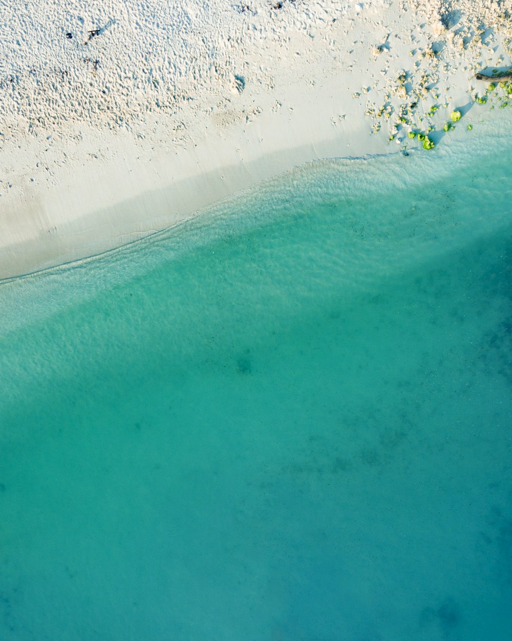 top view photography of seashore