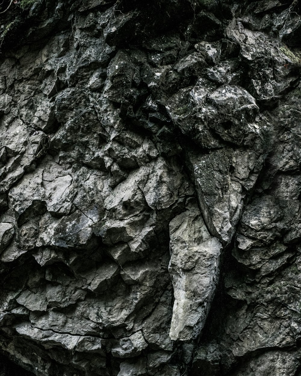 Una foto in bianco e nero di una parete rocciosa