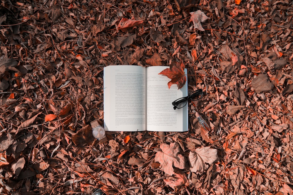 rotes Ahornblatt und Brille mit schwarzem Rahmen auf weißer Buchseite