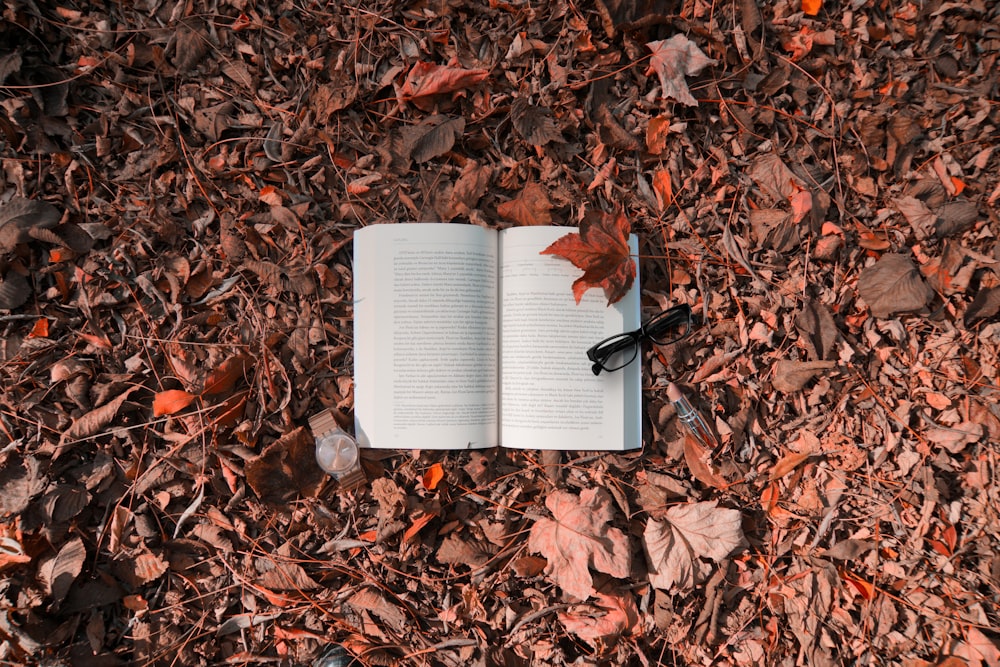 赤いカエデの葉と眼鏡、白い本のページに黒いフレーム