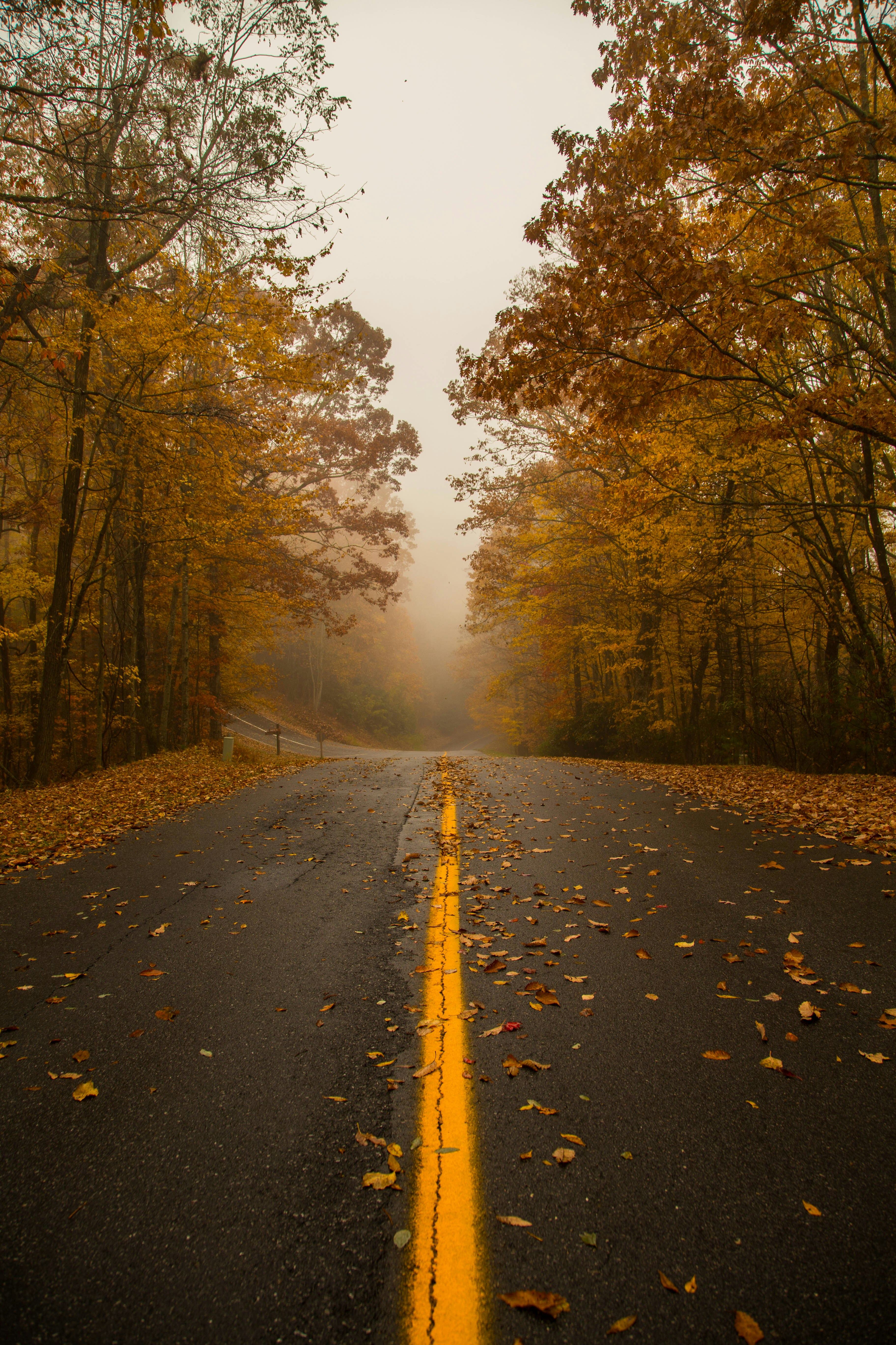 The Hard Problem of Consciousness Remains Hard: Why Reductions Keep Failing