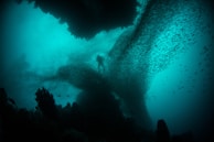 photo of person in body of water