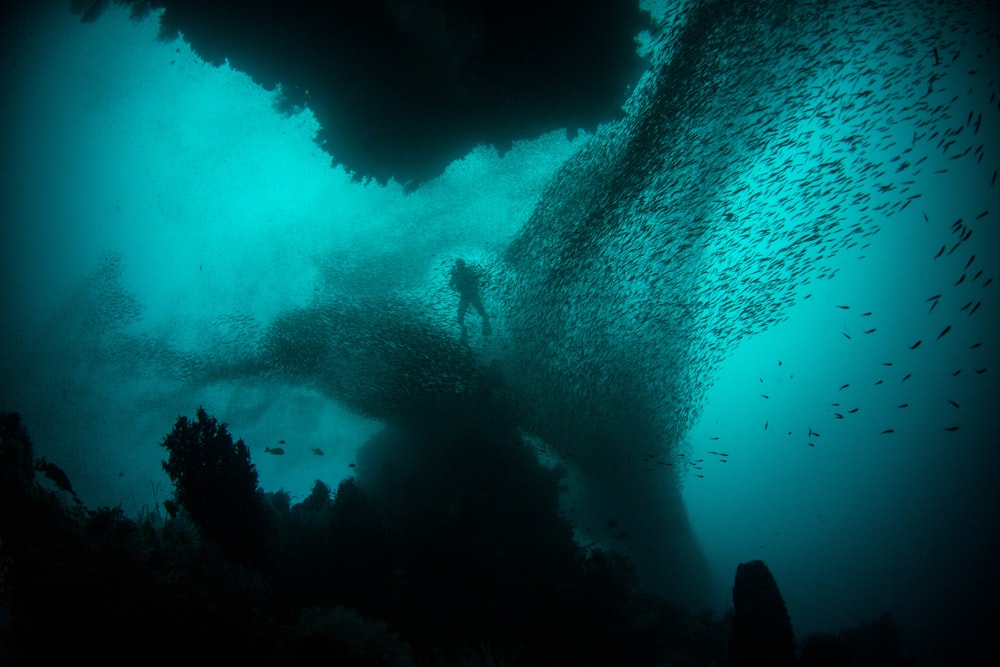 Photo d’une personne dans un plan d’eau