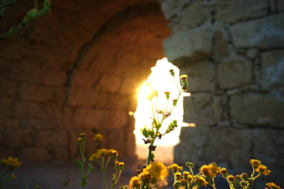Sunlight filtering through ancient stone arches of a coastal village pathway.
