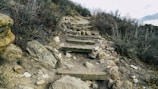 Hiking trail cutting across rugged terrain dotted with boulders and exposed roots.