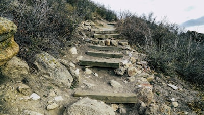 Hiking trail cutting across rugged terrain dotted with boulders and exposed roots.
