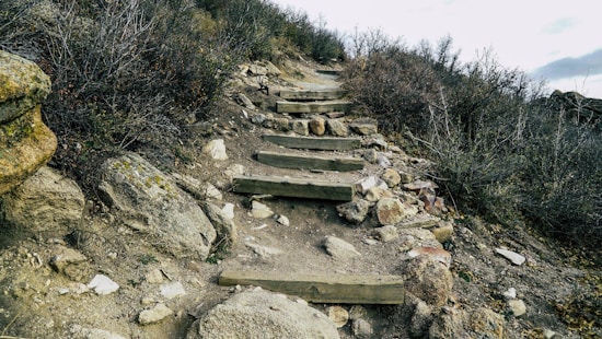 A rugged hiking trail with uneven wooden steps set into a rocky hillside. The path is surrounded by dry, sparse vegetation and bushes. Large rocks and shrubs line the sides of the trail, adding to the natural, untamed appearance of the landscape.