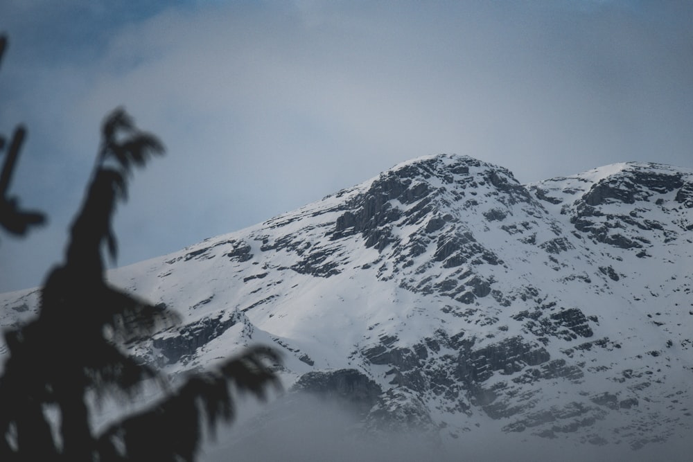 mountain covered in snow