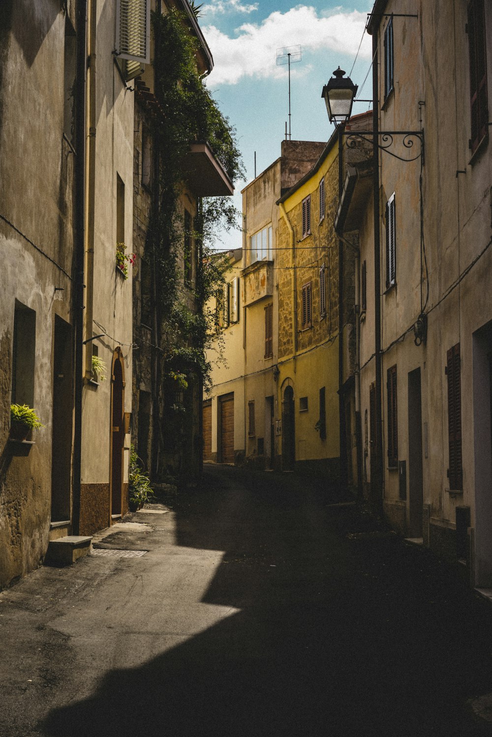 street in shallow focus photography
