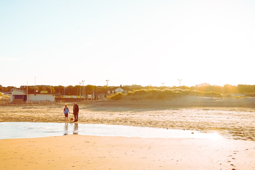 two person walking with dog