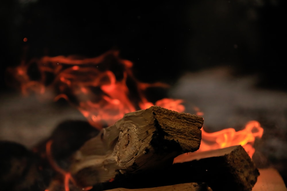 close up photography of firewood
