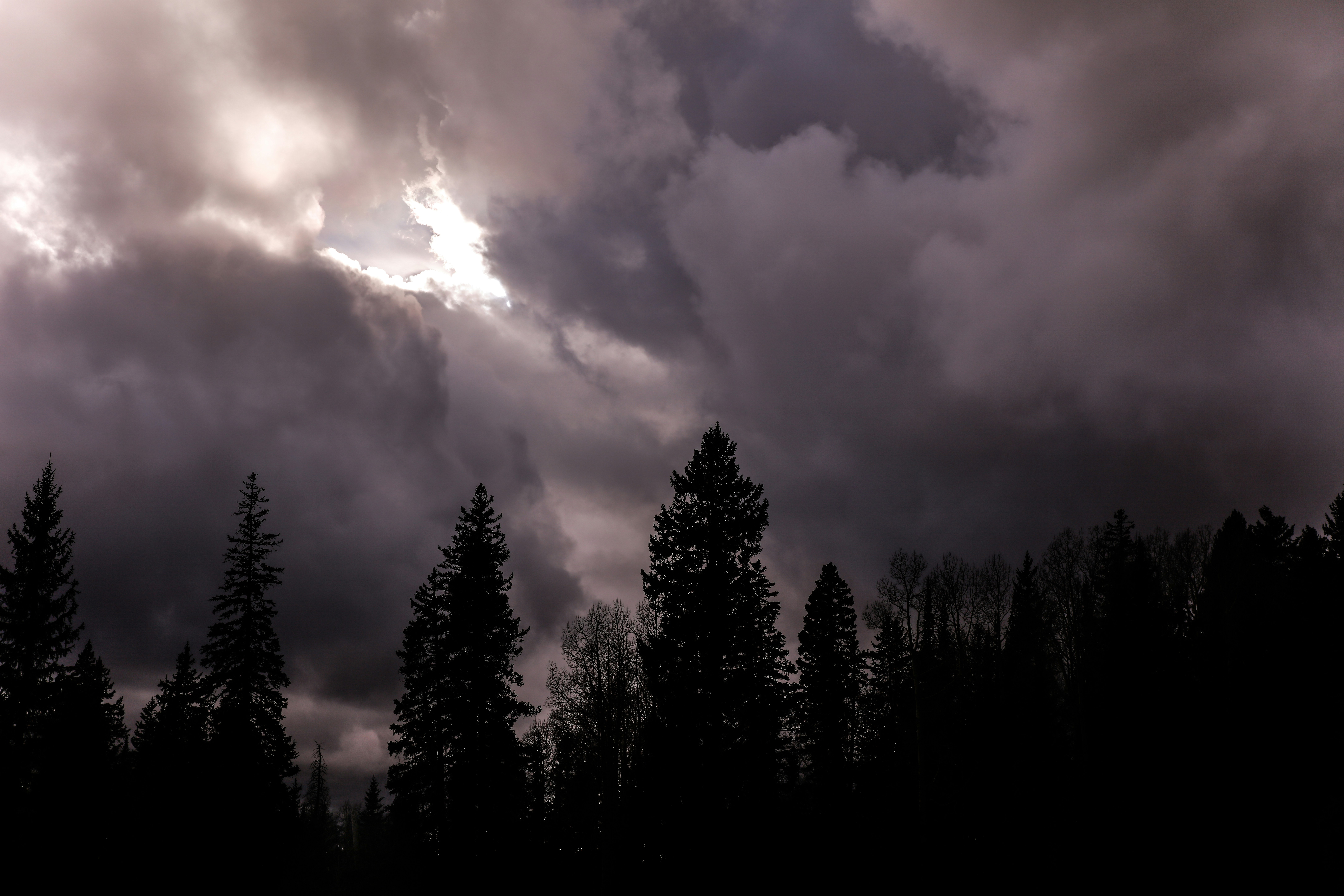 Photo by worldsbetweenlines