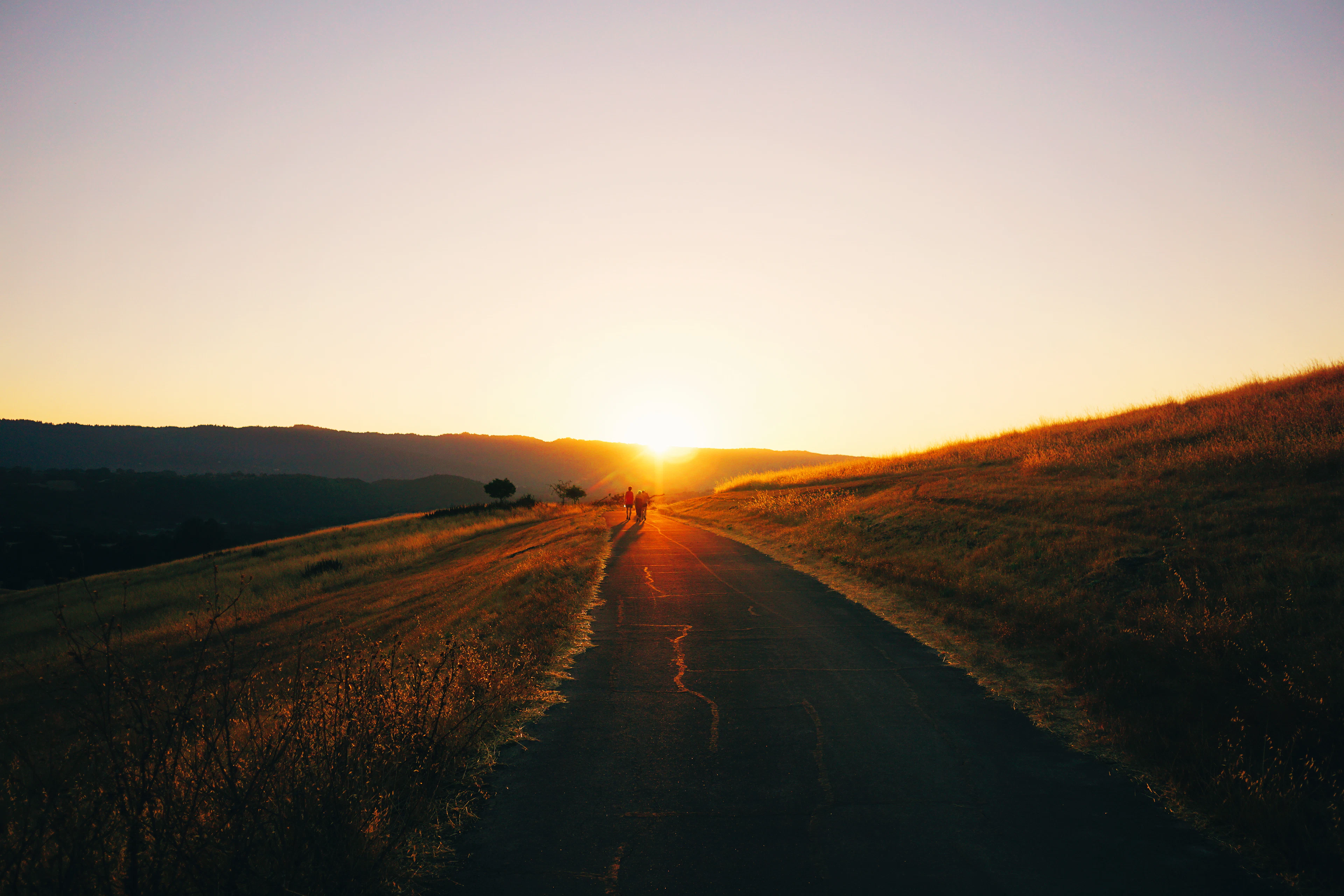 A quiet road winding through golden hills towards a low sun at dusk