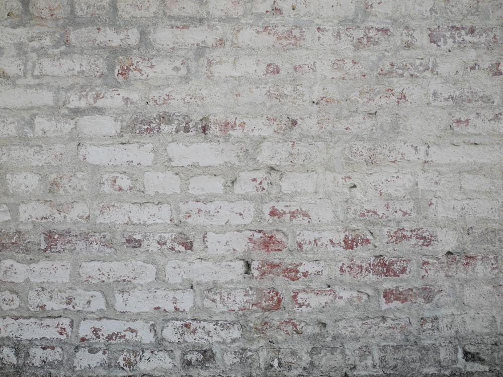 mur de briques en béton gris