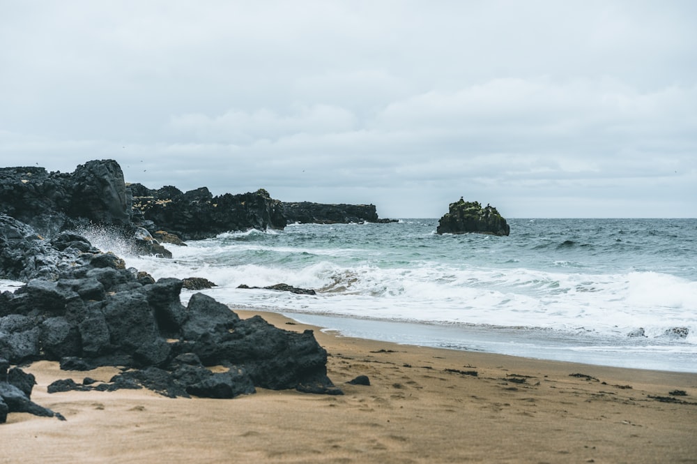 seashore during daytime