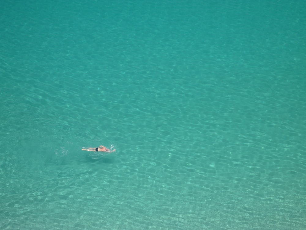 person swimming on body of water