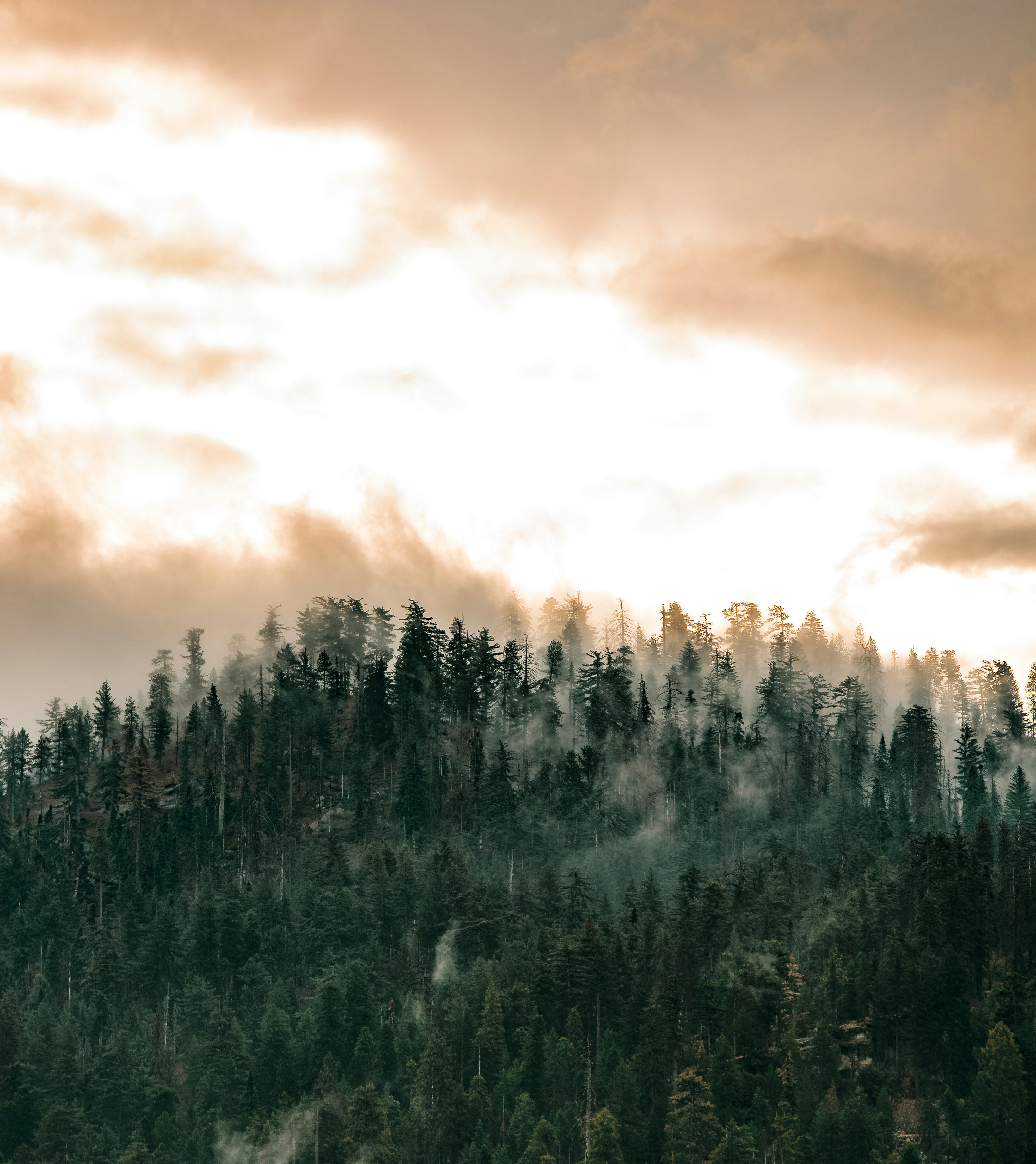 Photo by mischievous_penguins